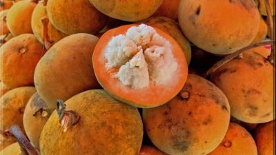 Kecapi, Buah Tropis Asam Manis yang Kini Mulai Langka di Pasaran