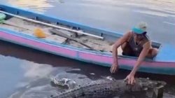 Warga Desa Camba Diserang Buaya Saat di Tepi Sungai, Kaki Alami Luka Gigitan