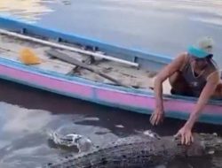Warga Desa Camba Diserang Buaya Saat di Tepi Sungai, Kaki Alami Luka Gigitan